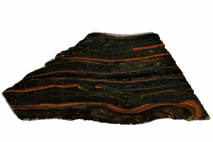 Polished Tiger Iron Stromatolite Slab - Billion Years #162078